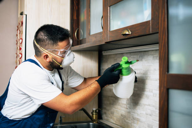 Best Emergency Pest Control  in Prospect, PA