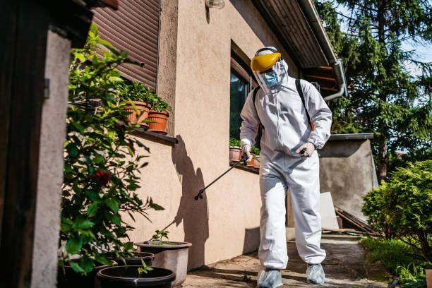 Best Affordable Pest Control Services  in Prospect, PA