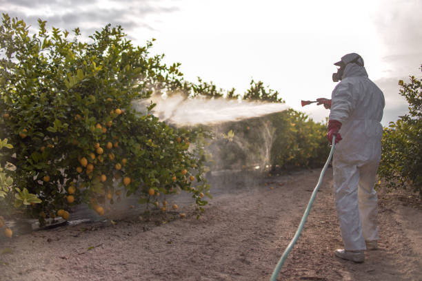 Best Pest Prevention Services  in Prospect, PA