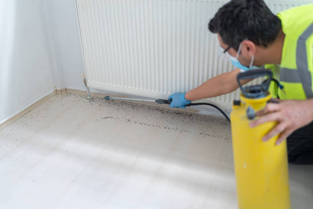 Best Best Pest Control Companies  in Prospect, PA