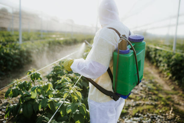 Best Pest Prevention Services  in Prospect, PA